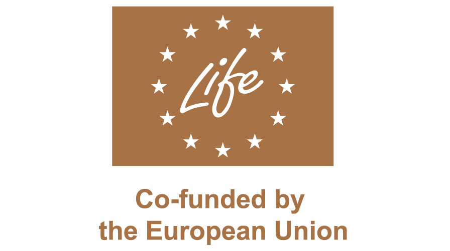 co-funded-european-union