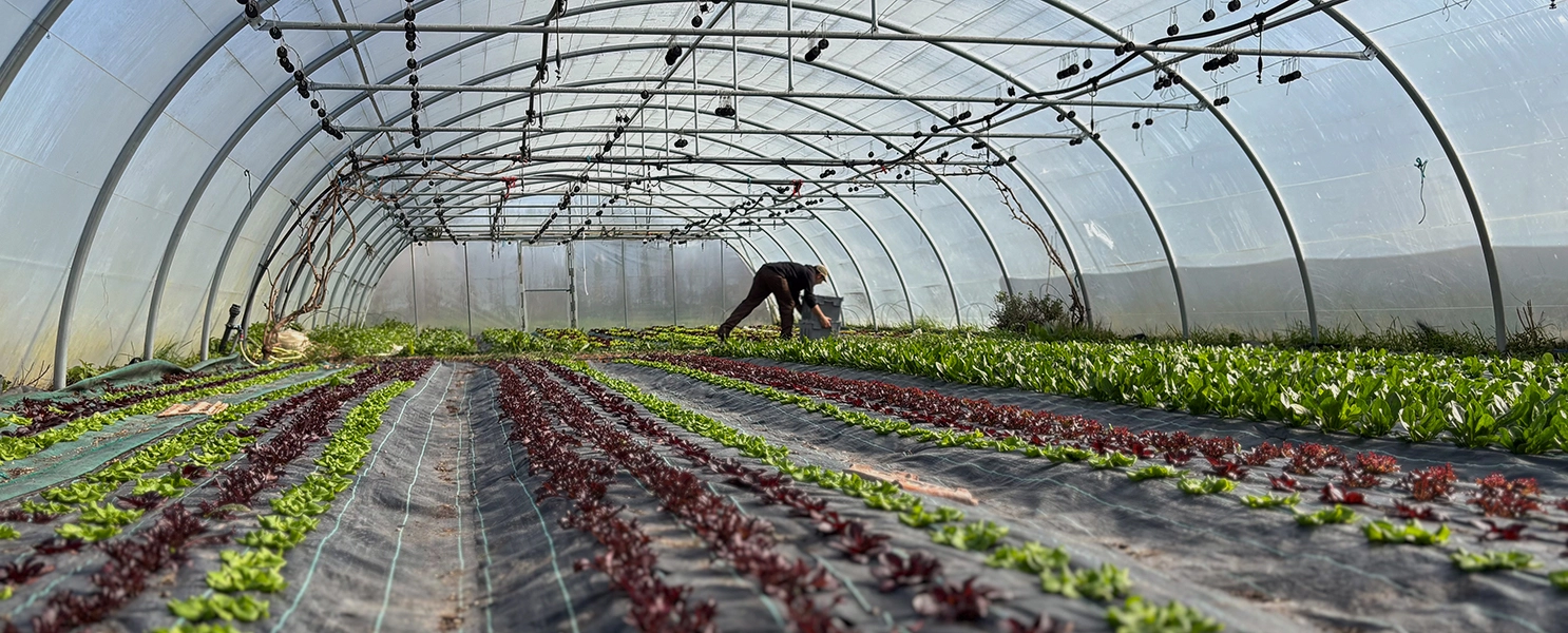 agricultura-regenerativa