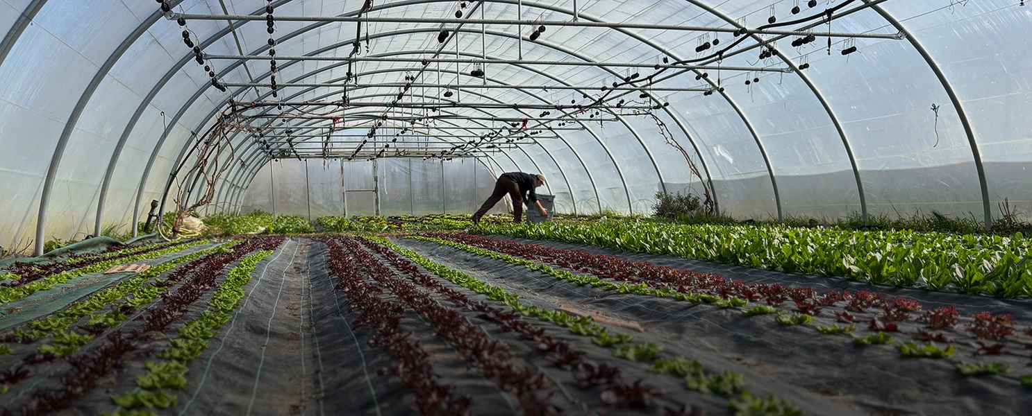 agricultura-regenerativa