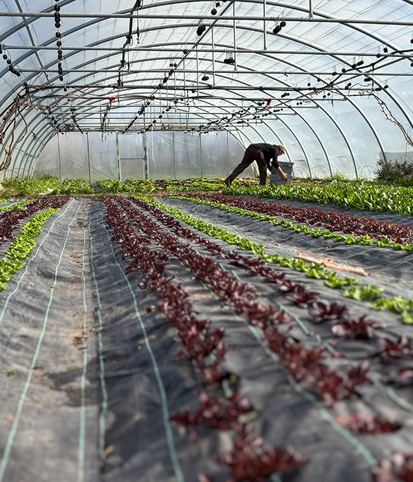 espacio-test-agrario