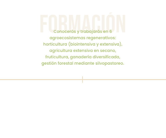formacion-aleko