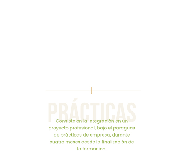 practicas-aleko