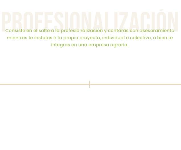 profesionalizacion-aleko