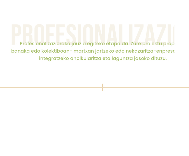 profesionalizazu